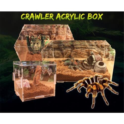 Pet feeding box acrylic combination transparent assembling reptile box