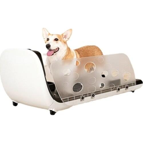 Pet Treadmill Household Mute Cat Dog Training Machine Dog Treadmill Convenient Family Multi-function Gift High Quality Durable