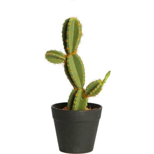 Artificial Fairy Column Bonsai Simulation Cactus Prickly Pear and Other Tropical Desert Plants Bonsai