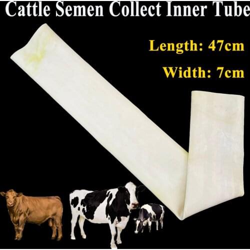 1PCS Cattle Semen Collection Device Cow Sperm Collect Rubber Tube Artificial Insemination Artificial Vagina Livestock Farming