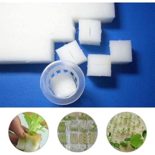 117pcs White Seedling Sponge Soilless Hydroponic Vegetables Nursery Pots Seedlings Cloning Collar Garden Cultivation Plant