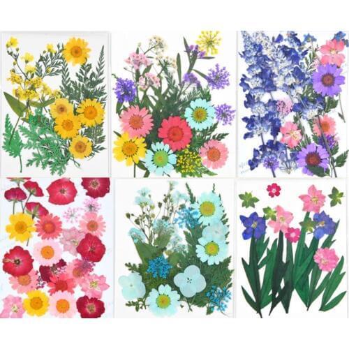 22pcs Mixed Pressed Dried Flower Leaves Filler For Epoxy Resin Jewelry Making Postcard Frame Phone Case Craft DIY