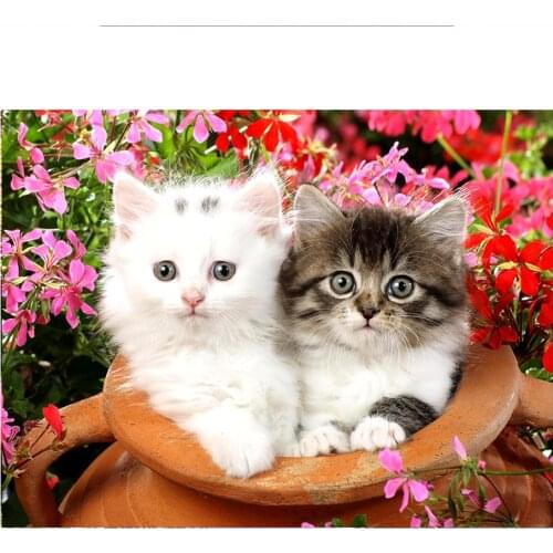 Complete design 5D DIY diamond painting couple cat round rhinestone picture embroidery animal mosaic cross stitch home decoratio