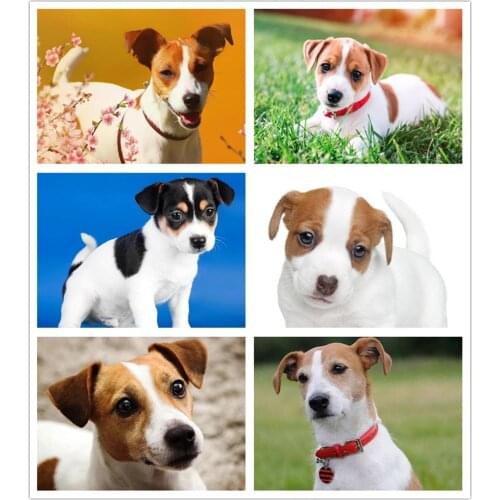 Full Square/Round Drill 5D DIY Diamond Painting Animal Dogs Cub Jack Russell Terrier Diamond Embroidery Cross Stitch Home Decor