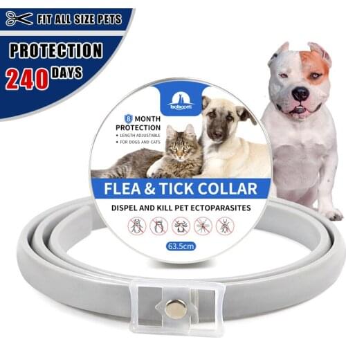 Gray Silicone Dog flea collar Cats Flea and Dogs Tick collar Pet Outdoor Adjustable Flea Anti-mosquito insect repellent Collar