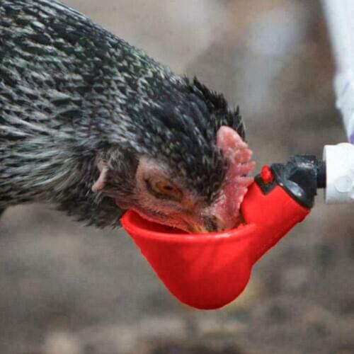 Chicken Automatic Drinking Bowl Automatic Drinking Fountain With Yellow Nipple Farm Poultry Drinking Water System