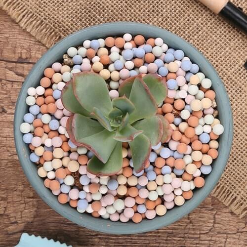 500g Colored Organic Light Ceramsite small stones 5mm for hydroponic succulents Fish tanks landscape Decoration Garden Supplies