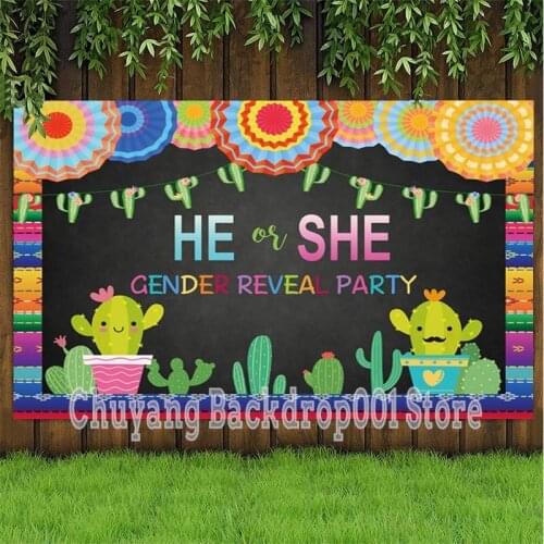 He Or She Gender Reveal Photo Backdrop Stars And Moon Baby Shower Party Custom Photography Background Decor Banner Supplies