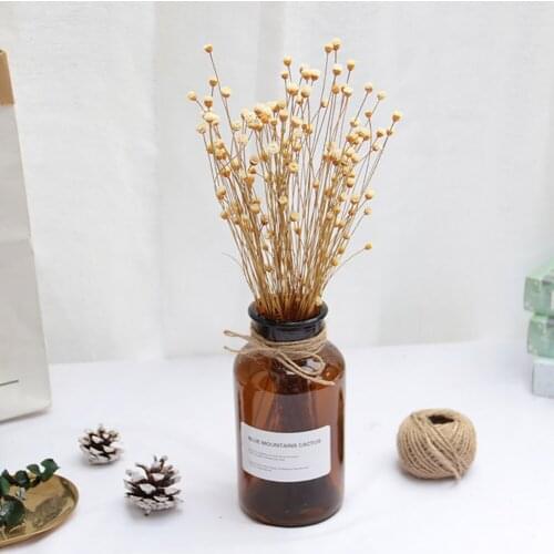 50pcs Real Dried Flowers Bouquet Happy Flower Small Natural Dry Flowers Press Mini Decorative Photography Photo Backdrop Decor