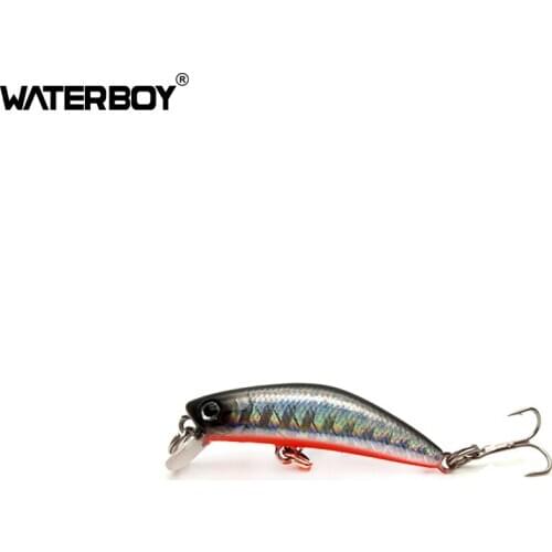 WATERBOY Minnow Fishing Lures Plastic Artificial Iscas Ocean Swimming Fishing Bait 4.2cm 1.7in 2.6g 0.1oz Hard Animated Lure
