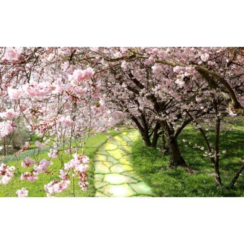Customized wallpaper beautiful scenery wallpapers Cherry blossom flower wallpapers slate road tree beautiful background wall