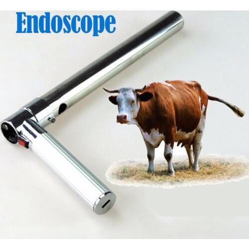 Endoscop Examination of Insemination Endoscope for Cattle Insemination