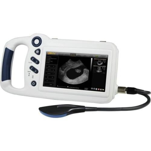 L80 cheap portable scanner Linear/Curve Vet ultrasound