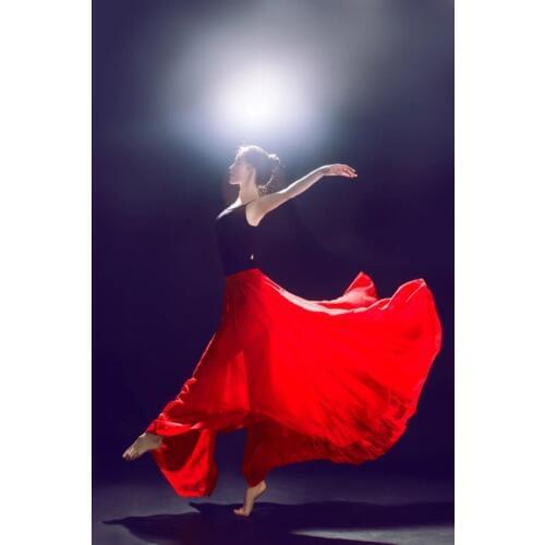 Lady Belly Dancing Skirt 360 540 720 Dance Practice Skirt Swagger Skirts Skirt Chiffon Modern Dance Suit D0729