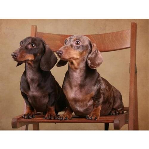 Animal Dachshund Printed Canvas 11CT Cross-Stitch Complete Kit Embroidery DMC Threads Sewing Painting Hobby Knitting Stamped