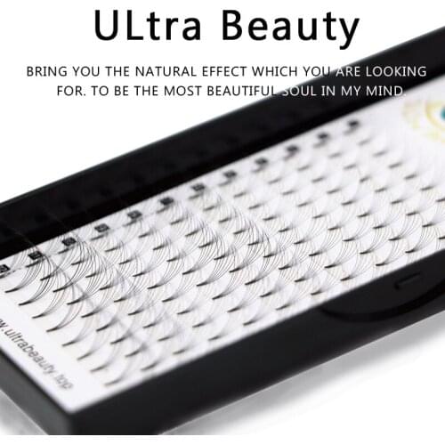 Premade Fans Natural Soft Eyelash Extensions Synthetic Makeup Eyelashes High Quality Lashes Vendors