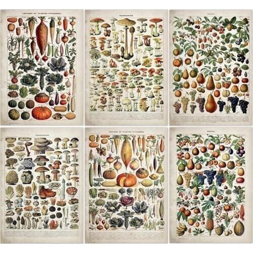Vintage Vegetable Fruit Mushroom Poster Print Antique Wall Art Print Botanical Picture Science Poster Kraft paper