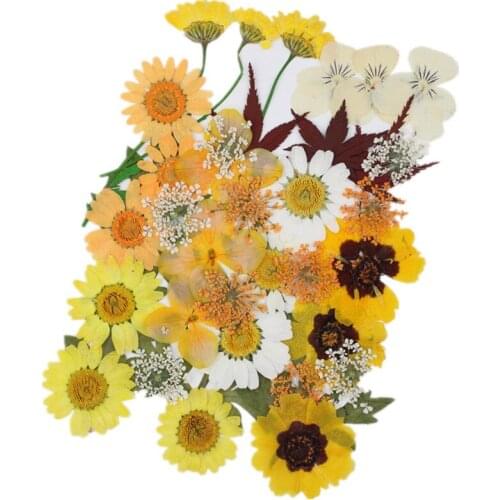 1@# Hot Sale Dried Flowers UV Resin Natural Flower Stickers Dry Beauty Decal For DIY Epoxy Resin Filling Jewelry Decoration