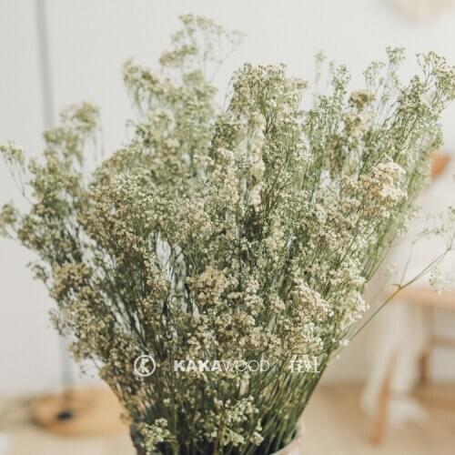 Hipster Artistic Natural Dried Flower White Small Babys Breath Flower Delivery Decorative Grass Home Floral