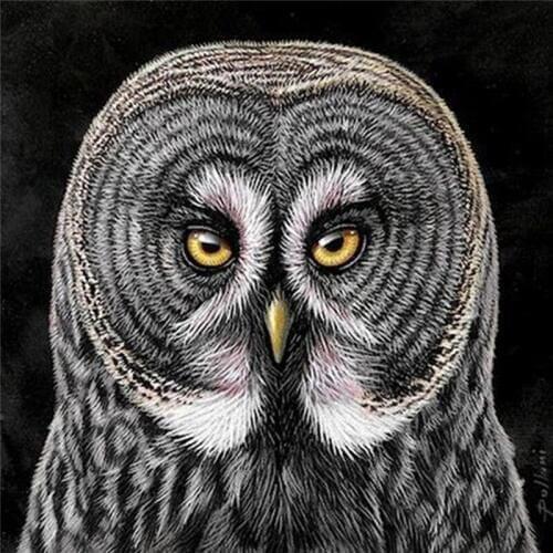 Animal Owl 3D Resin Diamond Painting Round Cross Stitch Square Full Diamond Mosaic Diamond Embroidery Sale Home Decora Resin