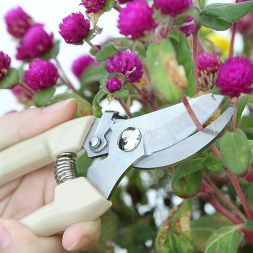 Gardening Pruning Shears Stainless Steel Secateurs Cutter Fruit Tree Flowering Scissors Thick Branch Pruner Garden Grafting Tool