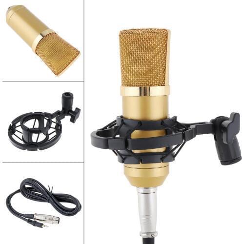 BM-700 Professional Condenser Microphone with Circuit Control and Gold-plated Large Diaphragm Head for Studio / KTV