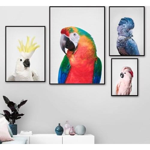 Camello macaw parrot wall art canvas painting Nordic posters and prints animal wall pictures for living room decoration
