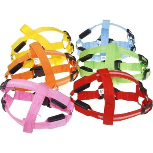 Pet Dog Cat Harness Led Flashing Light Harness Collar Pet Safety Led Leash Rope Belt Dog Accessories Rechargeable LED Nylon Type