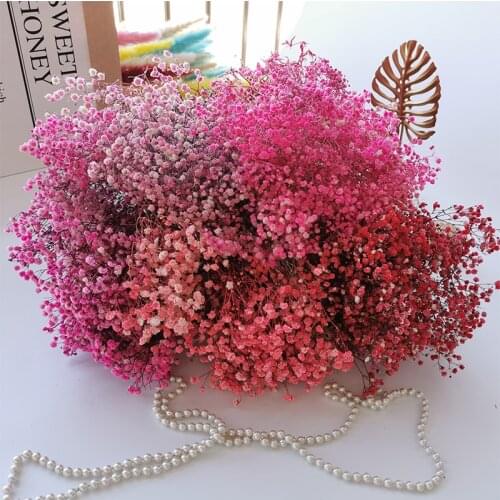 1Bouquet Babysbreath Natural Fresh Dried Preserved Flowers Real Dry Flower Bouquet Home Party Wedding Marriage Decoration