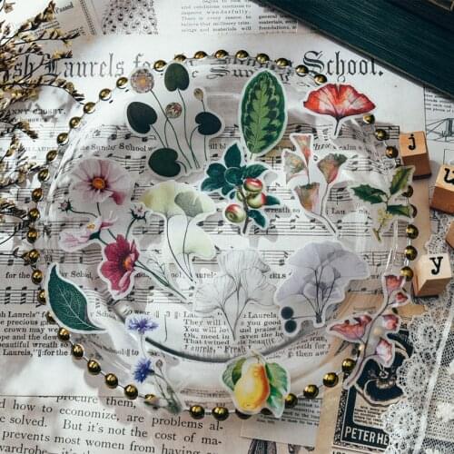 KSCRAFT Vintage Plants Vellum Paper Stickers for Scrapbooking DIY Projects Junk Journal Planner Card Making Crafts