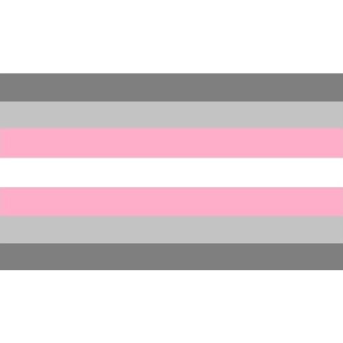 90x150 CM Pink And Grey Flag Rainbow Flag for Decoration