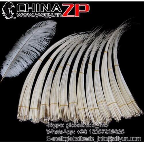 CHINAZP Factory Wholesale 100pcs/lot 50-60cm Length Selected High Quality White Ostrich Spines Crafts