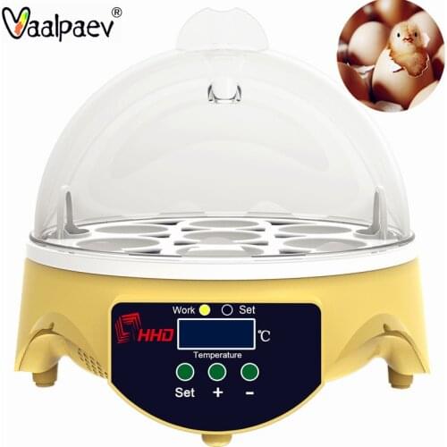 Chicken Duck Bird Eggs Hatching Box CIncubator Biology Science Experiment Kit Electronics Homeschool Supplies Educational Toys