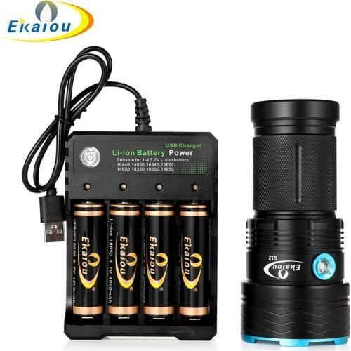 Ekaiou Battery Chargers