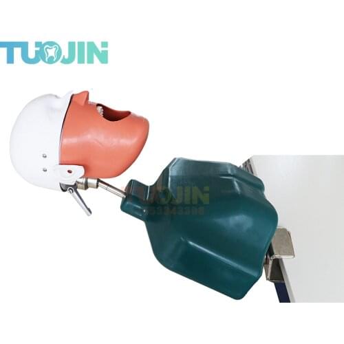 Dental Simulation Head Model Dentistry Manikins Phantom Head Sennior With Torso For Dentist Practice Modeling