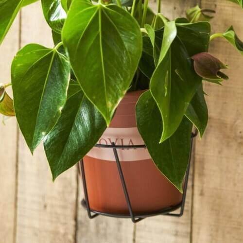 Iron Art Hanging Basket Flower Pot Holder Over The Rail Fence Planter Hangers M68E