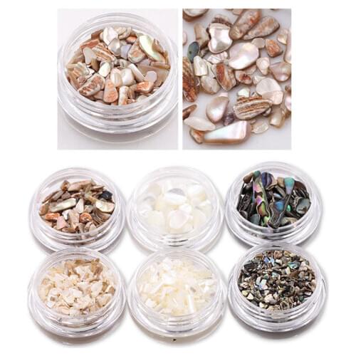 1Box Colorful 3D Irregular Sea Shell Slice Particles Seashell Crushing Nail Art Flash Decoration Natural Tips Accessories
