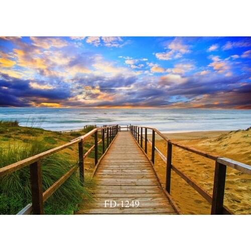 Seaside Walkway Photography Backdrop for Photo Booth Background Photographic Props Portrait Children Baby Shower Photo Shoot