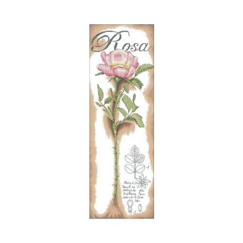 PN-0154334 A pink rose Needlework,For Embroidery,DIY 14CT Unprinted Arts Cross stitch kits Set Cross-Stitching Home Decor