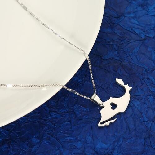 Stainless Steel Silver Color Mexico Map Pendant Necklace Fashion Mexican Map Chain Jewelry