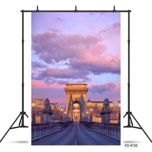 Vintage Buildings Lion Statues Bridge Photography Background Custom Backdrop for Children Baby Portrait Photophone Fond Photo