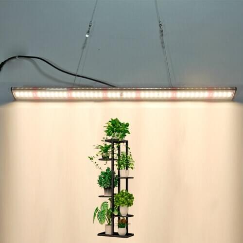 80W-3500k Full Spectrum LED Grow Light Warm White Phyto Lamps For Plants Indoor Greenhouse Grow Tent Flowers Hydroponics