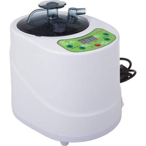 2L 1000W 220V Suana Steam Generator stainless steel fumigation machine Khan steaming machine with 9 Level Remote Controlled