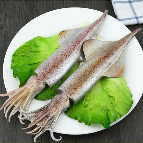 050 Fake squid model food model high fidelity seafood squid mold 29*9.5*2.5cm