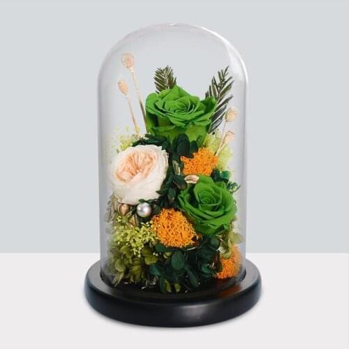 12*26cm Big Size Glass Dome Vase Home Decoration Black Base Transparent Cover Friend Gift Wedding Live Prop