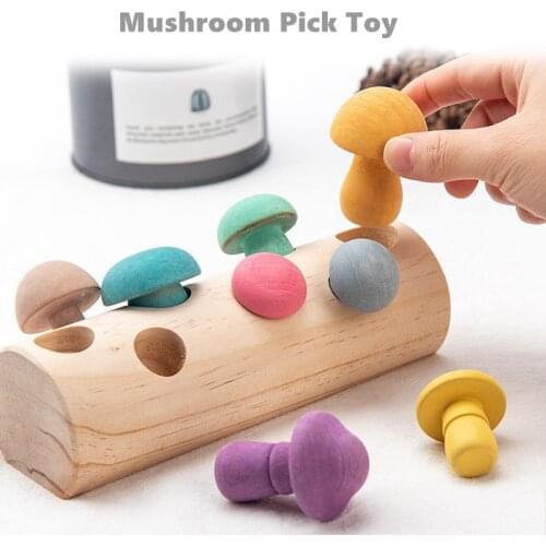 Wooden Rainbow Blocks Mushroom Picking Game Montessori Educational Wooden Baby Toys Developmental Shape Matching Assembly Grasp