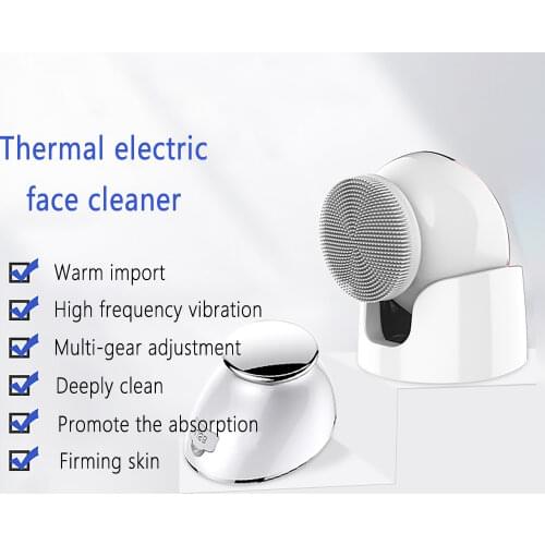 FS FLSON Facial Care Tools