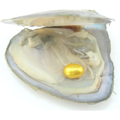 cllen Lewelry Oval Beads