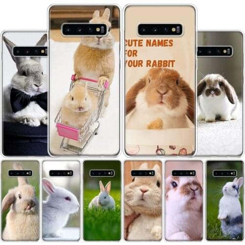 Cute animal rabbit Phone Case For Samsung Galaxy A51 A71 A70S A50S A30S A10 A20E A40 A41 A01 A21 A6 A7 A8 A9 Shell Cover