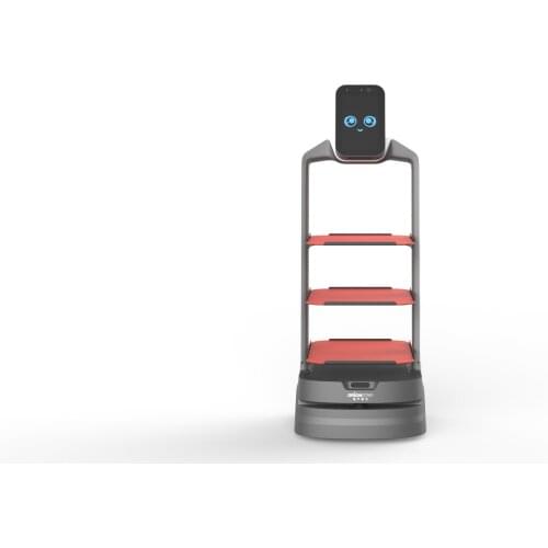 PAFISH Programmable Robots